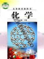 仁爱版科普版九年级化学下册