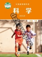 教科版二年级科学下册