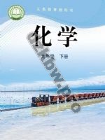 鲁教版九年级化学下册