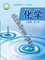 鲁教版八年级化学全一册